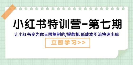 小红书特训营：低成本引流与快速出单技巧-无双副业