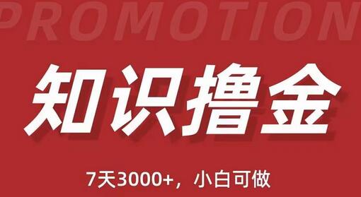 抖音知识撸金项目：日入1000+的简单粗暴方法(教程+资料)-无双副业
