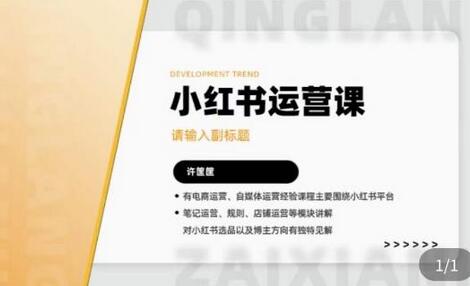 许筐筺小红书运营课：笔记、规则、店铺运营全解析-无双副业