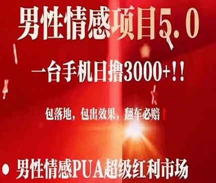 男性情感变现项目，手机操作日收益3000+，当天变现-无双副业