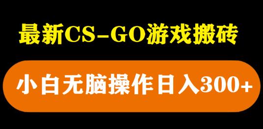 最新CSGO游戏搬砖项目，小白轻松日入300+-无双副业