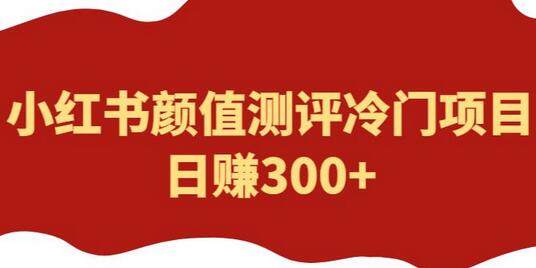 小红书颜值测评项目揭秘，日赚300+的冷门赚钱方法-无双副业