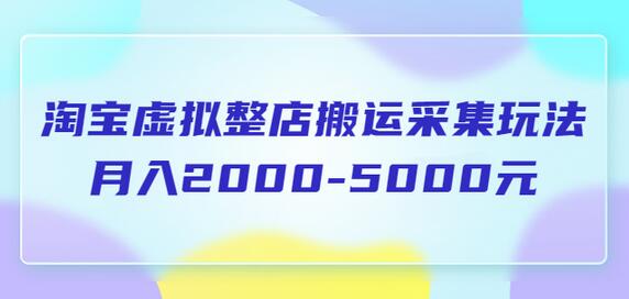淘宝虚拟整店搬运采集玩法分享课：月入2000-5000元-无双副业