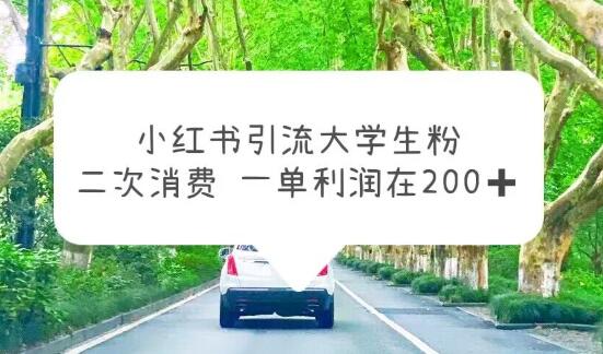 小红书引流大学生粉丝，变现项目利润200+（教程+资源）-无双副业