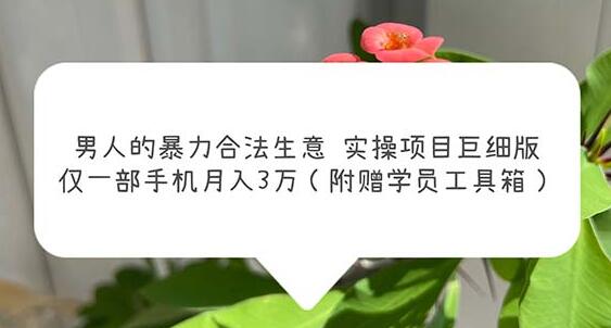 男人暴力合法生意实操项目：一部手机月入3万-无双副业