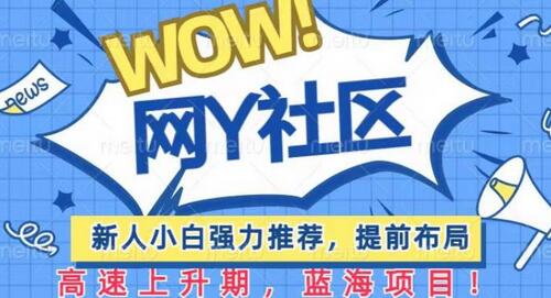 有道词典WOW社区项目：新人小白强力推荐的蓝海项目-无双副业