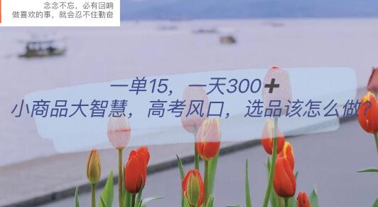 小商品大智慧，高考风口选品布局策略-无双副业