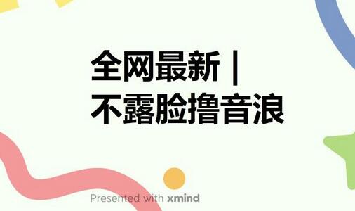 不露脸撸音浪自动化成交闭环，实现出单与收徒收益最大化-无双副业