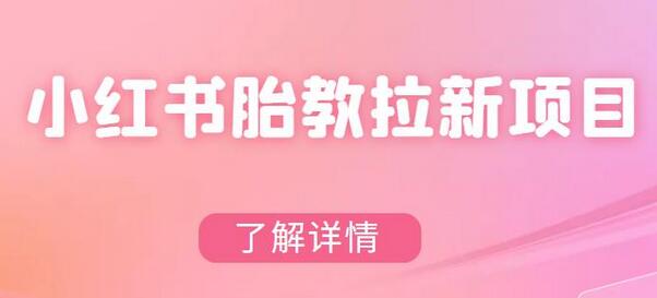 小红书胎教网盘拉新项目私域变现教程与素材-无双副业