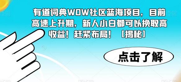 有道词典WOW社区蓝海项目，新人小白轻松获取高收益-无双副业