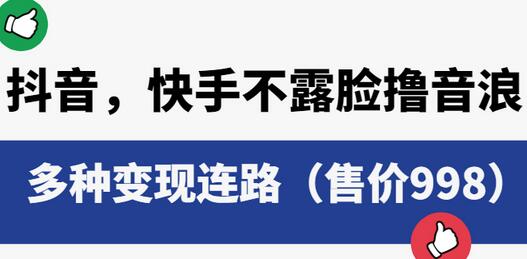抖音快手不露脸音浪项目，多种变现方式详解-无双副业