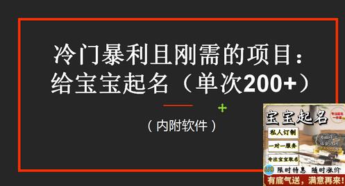 冷门暴利项目：给宝宝起名（一单200+）内附教程+工具-无双副业