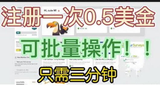 国外项目注册一次0.5美金，三分钟无脑操作，小白工作室福利揭秘-无双副业