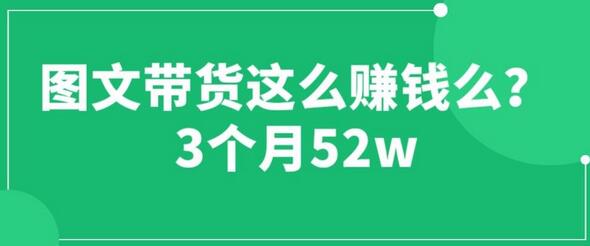 图文带货3个月赚52W的运营技巧分享-无双副业