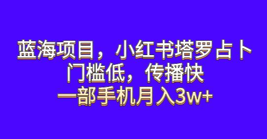 小红书塔罗占卜项目，低门槛高收益，手机操作月入3w+-无双副业