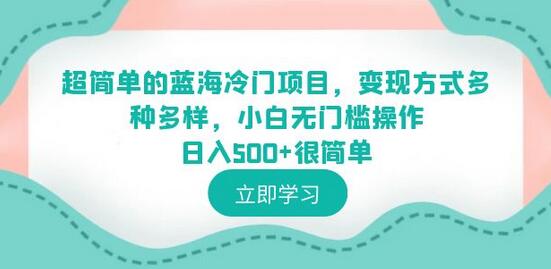 蓝海冷门项目轻松变现，小白无门槛日入500+-无双副业
