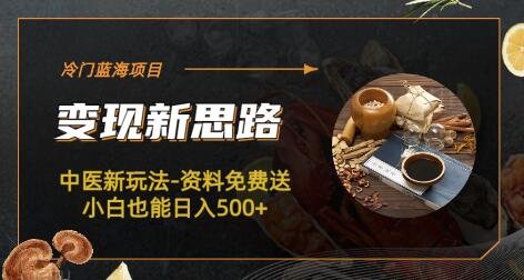 冷门蓝海项目-中医新玩法-资料免费送小白也能日入500+-无双副业