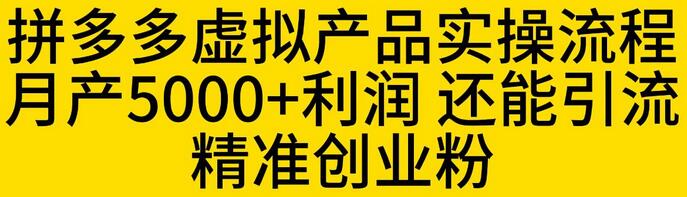 拼多多虚拟产品实操流程，月利润5000+，引流精准创业粉-无双副业