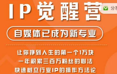 树成林IP觉醒营：快速树立行业IP并赚取第一桶金的方法论-无双副业