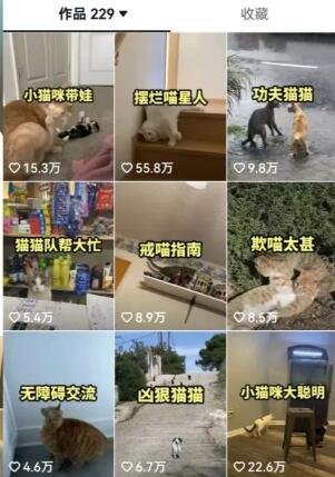 抖音盘点类中视频变现副业项目全解析