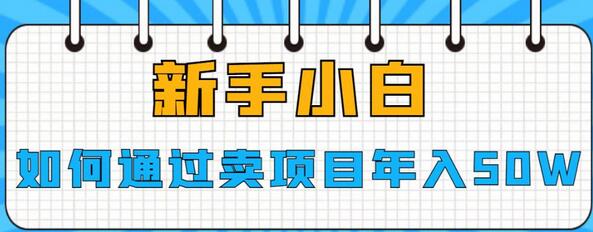 新手如何通过卖项目实现年入50W-无双副业