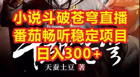 小说斗破苍穹直播推广，番茄畅听日入300+稳定项目-无双副业