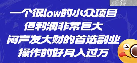 小众项目利润巨大，月入过万的副业首选-无双副业