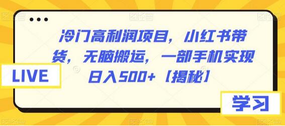 小红书带货冷门高利润项目，一部手机日入500+-无双副业