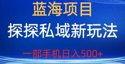 探探私域新玩法，一部手机轻松日入500+-无双副业