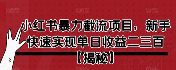 小红书截流项目：新手快速实现单日收益二三百-无双副业