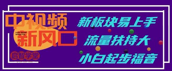 中视频新风口：易上手板块与流量扶持助力小白起步-无双副业