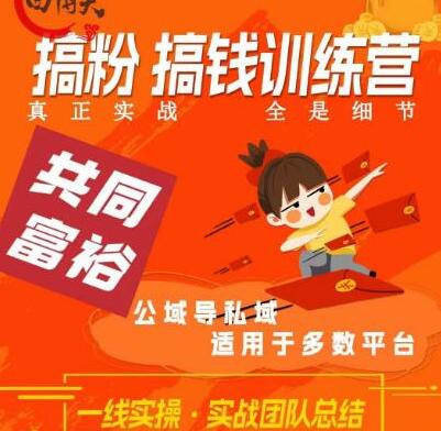 曲博夫私域流量实战课程，从粉丝到变现全解析-无双副业