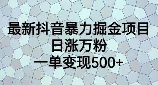 抖音暴力掘金项目，日涨万粉，一单变现500+-无双副业