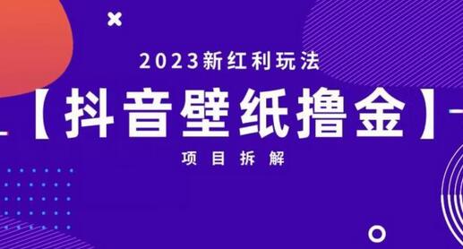抖音壁纸小程序创作者2023新红利玩法-无双副业