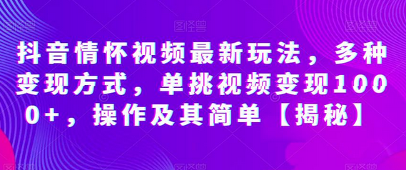 抖音情怀视频玩法与变现技巧，轻松实现高收益-无双副业