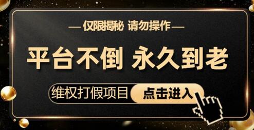 维q打j项目揭秘：零投入高回报电商玩法-无双副业