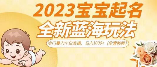 2023宝宝起名蓝海玩法，冷门暴力小白实操，日入1000+-无双副业