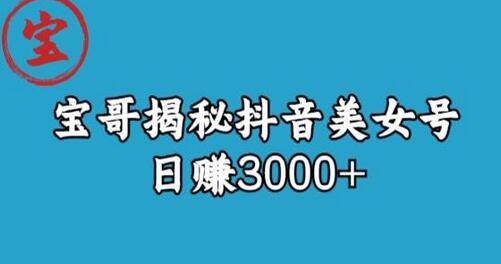 宝哥揭秘抖音美女号玩法，日赚3000+的秘诀-无双副业
