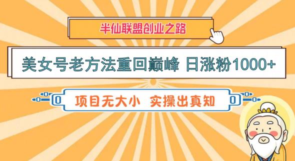 美女号老方法重回巅峰，日涨粉1000+-无双副业