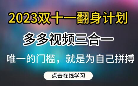 2023双十一多多视频带货三合一玩法教程-无双副业