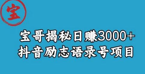 宝哥揭秘抖音励志语录号短视频变现项目-无双副业