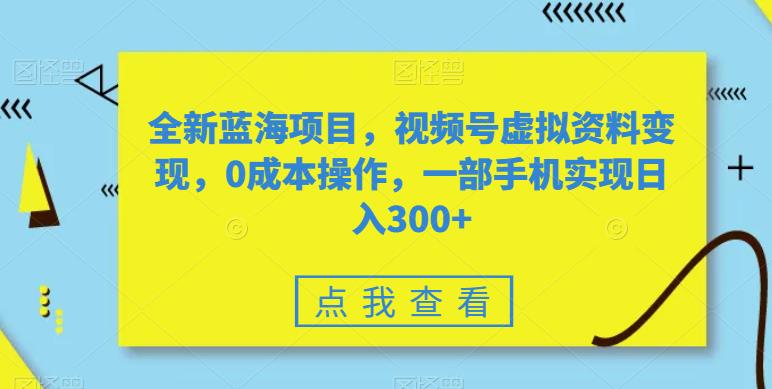 视频号虚拟资料变现项目，0成本日入300+操作指南-无双副业