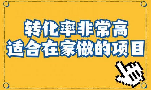小红书虚拟电商项目：从入门到精通（视频课程与交付手册）-无双副业