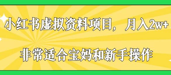 小红书虚拟资料项目，月入2w+，适合宝妈和新手操作-无双副业