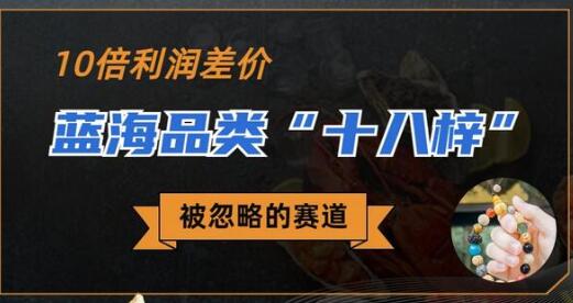 被忽略的蓝海品类“十八籽”，10倍利润差价的冷门商机-无双副业