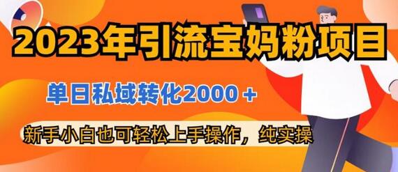 2023年宝妈粉引流项目，单日私域转化2000+，新手轻松上手-无双副业
