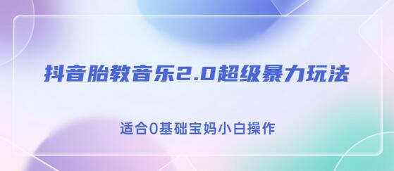 抖音胎教音乐2.0变现玩法，日入500+，适合0基础宝妈操作-无双副业