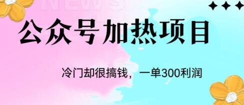 冷门公众号加热项目，单笔利润300+-无双副业