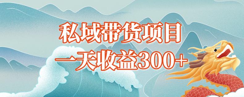 独孤私域带货蓝海项目，日收益300+-无双副业
