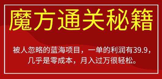 魔方通关秘籍：零成本蓝海项目，月入过万不是梦-无双副业
